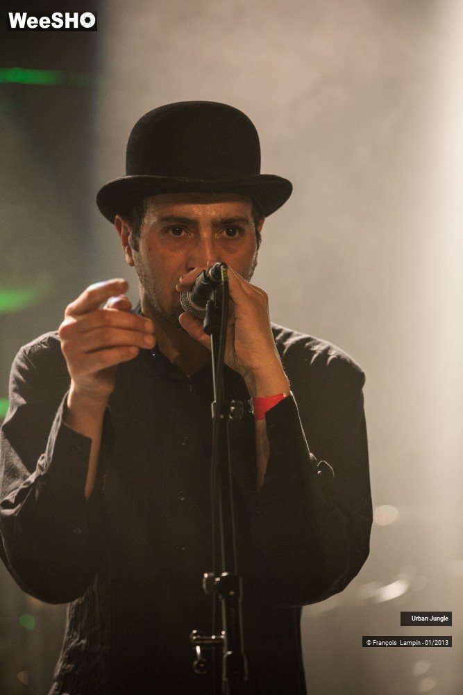 27/32 photos du spectacle Urban Jungle