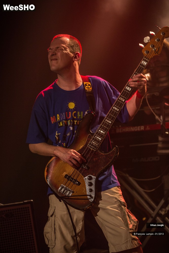 28/32 photos du spectacle Urban Jungle