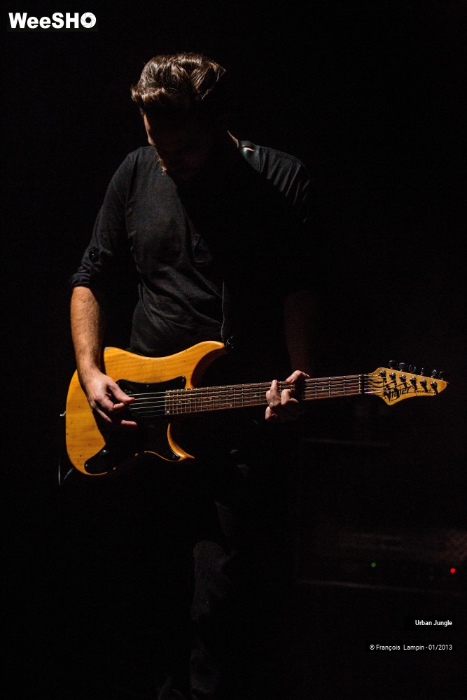 29/32 photos du spectacle Urban Jungle