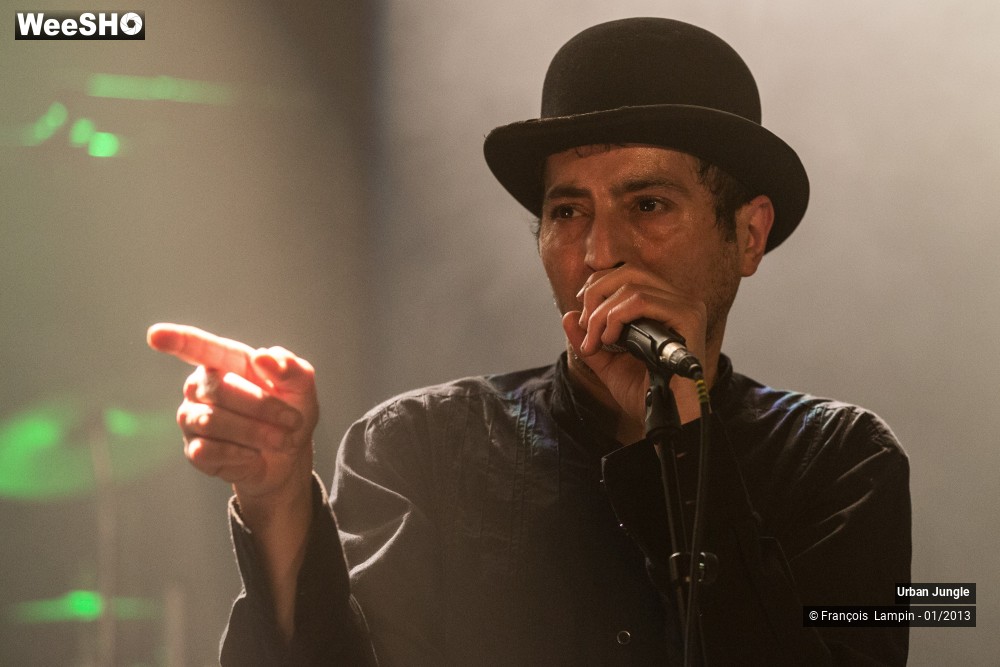 30/32 photos du spectacle Urban Jungle