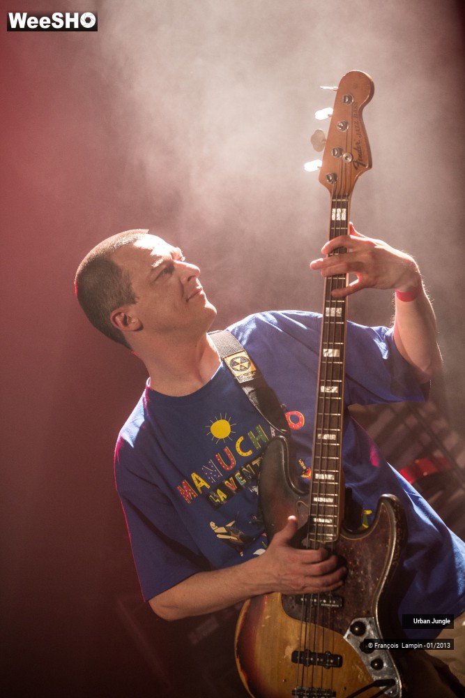 32/32 photos du spectacle Urban Jungle