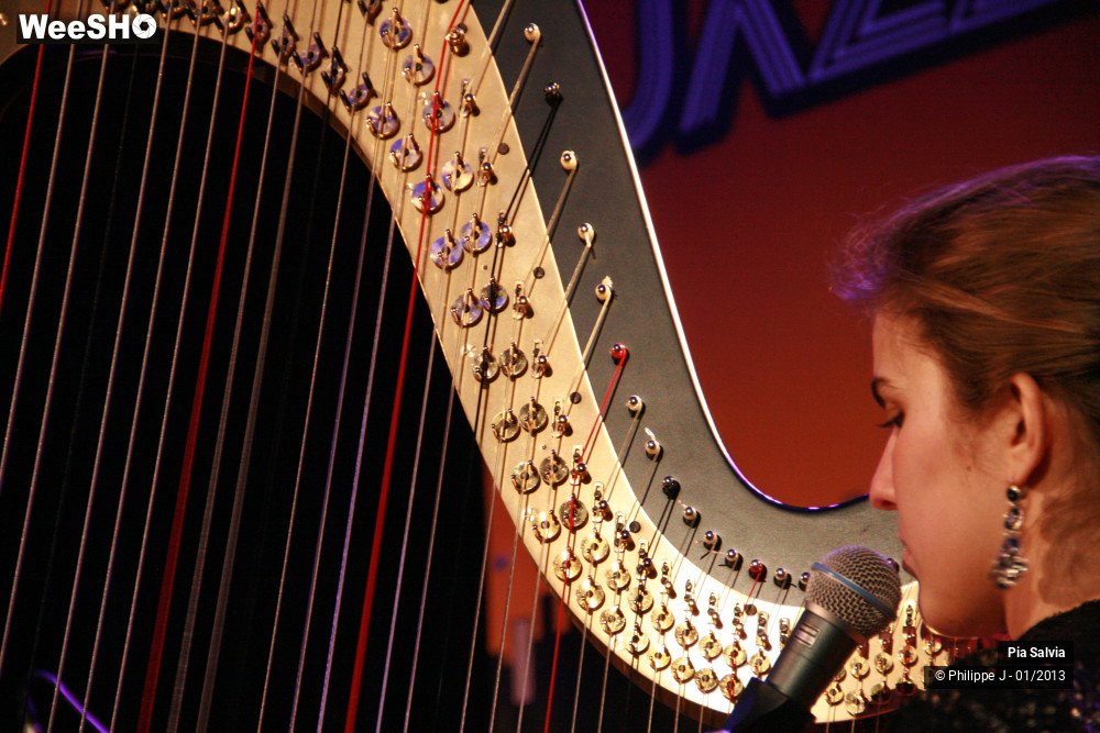 4/20 photos du spectacle Pia Salvia