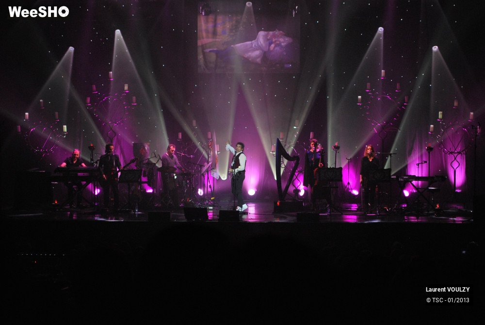 18/26 photos du spectacle Laurent Voulzy