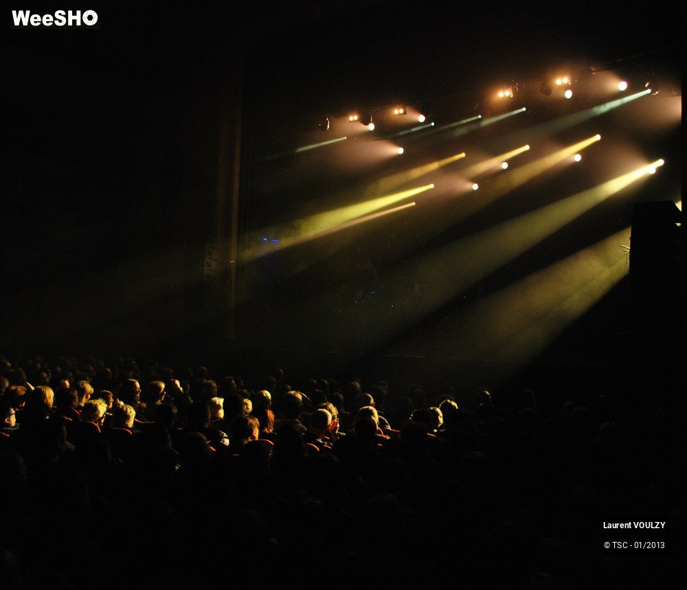 19/26 photos du spectacle Laurent Voulzy