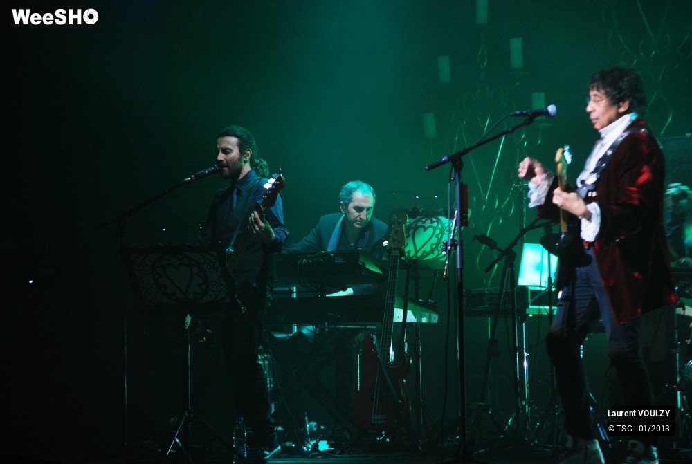 20/26 photos du spectacle Laurent Voulzy