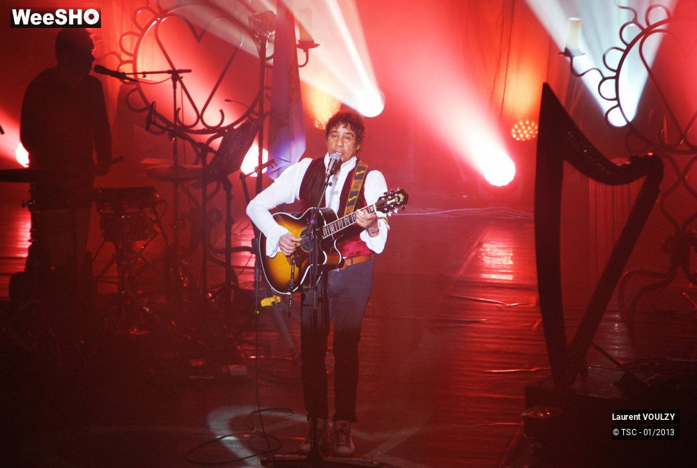 24/26 photos du spectacle Laurent Voulzy