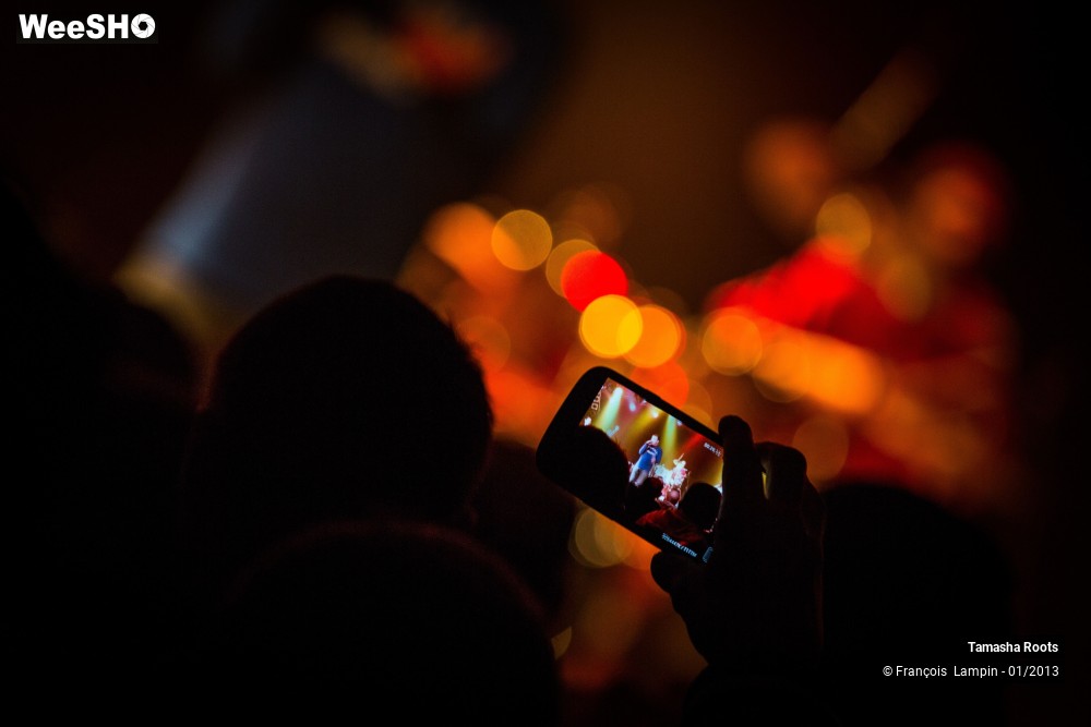 5/34 photos du spectacle Tamasha Roots & The Classics Backing Band