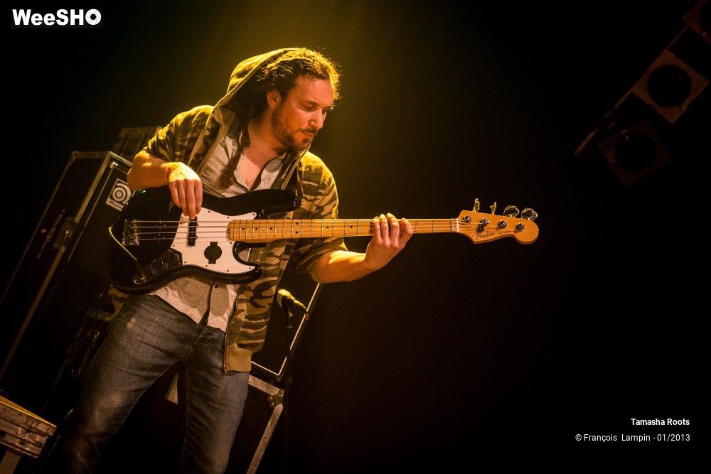 10/34 photos du spectacle Tamasha Roots & The Classics Backing Band