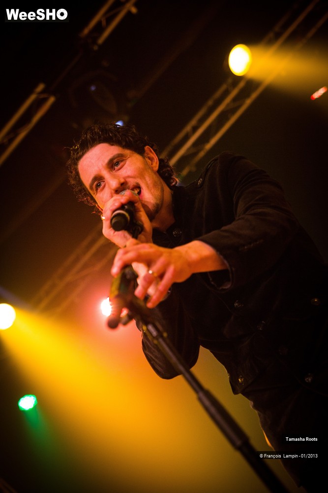 18/34 photos du spectacle Tamasha Roots & The Classics Backing Band