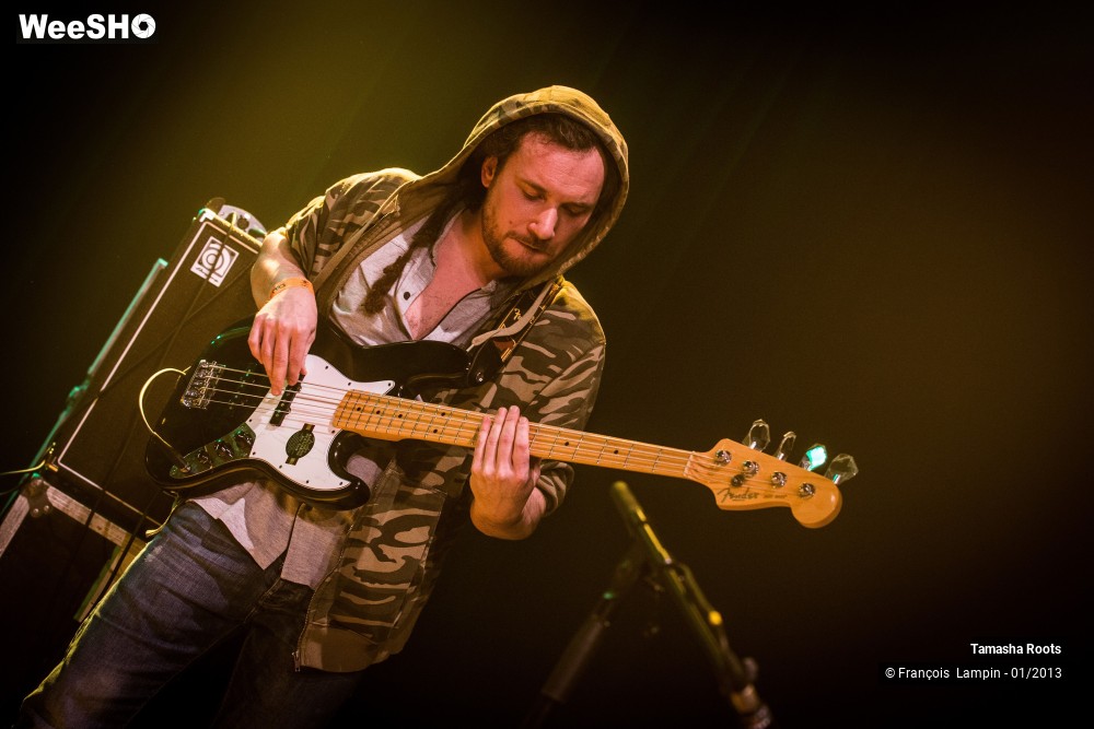 19/34 photos du spectacle Tamasha Roots & The Classics Backing Band