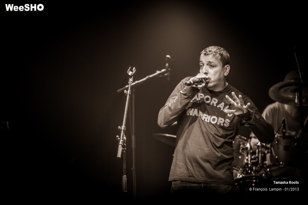 21/34 photos du spectacle Tamasha Roots & The Classics Backing Band