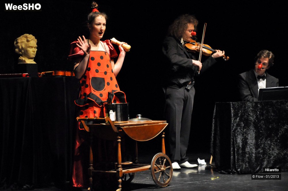 1/50 photos du spectacle Hilarissimo