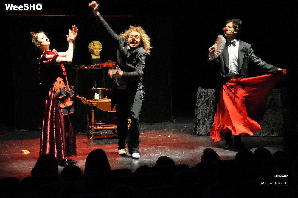 3/50 photos du spectacle Hilarissimo