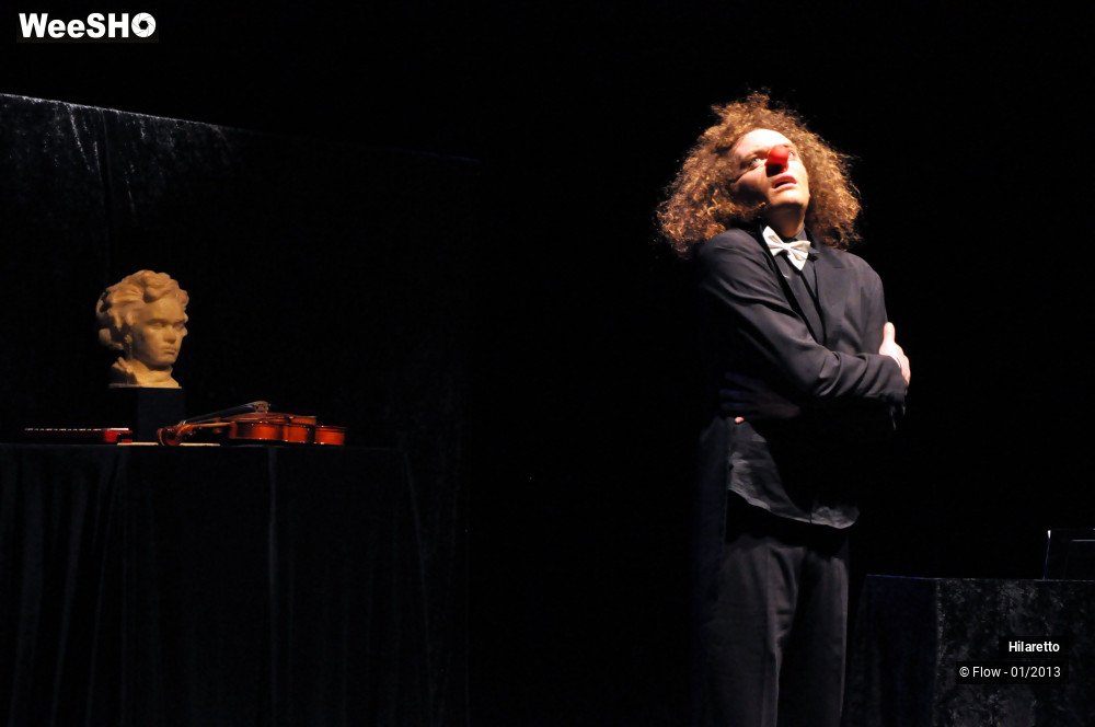 4/50 photos du spectacle Hilarissimo