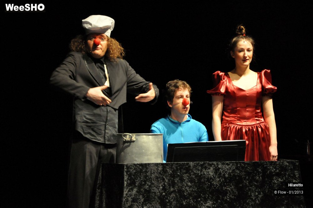 9/50 photos du spectacle Hilarissimo