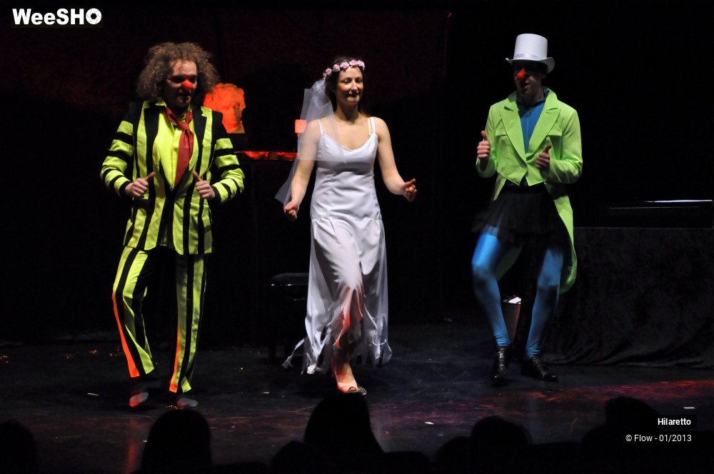 17/50 photos du spectacle Hilarissimo