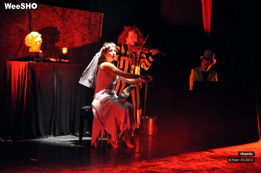 18/50 photos du spectacle Hilarissimo