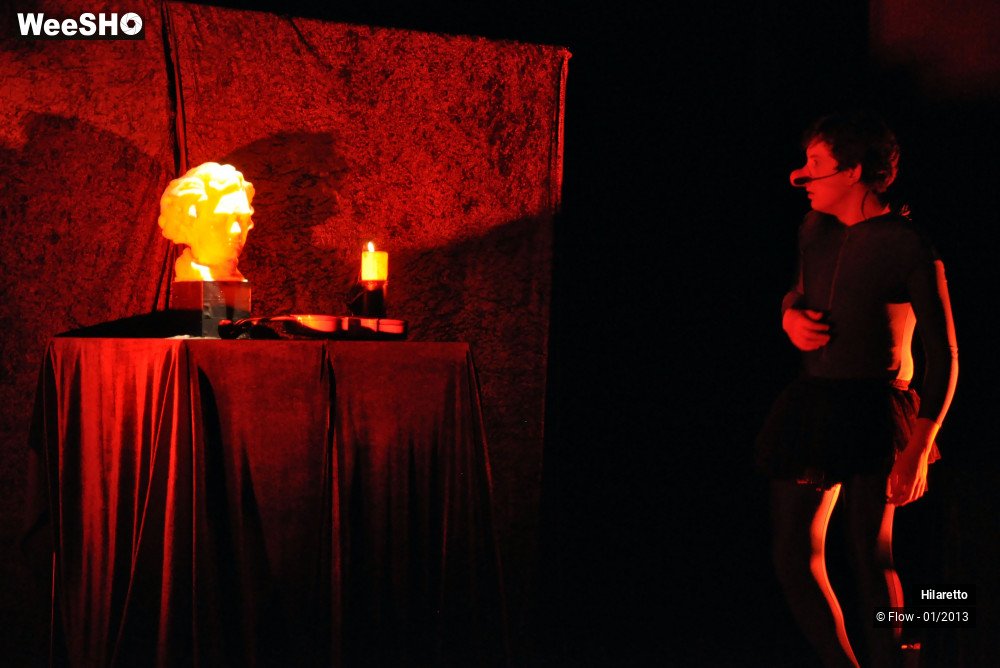 19/50 photos du spectacle Hilarissimo