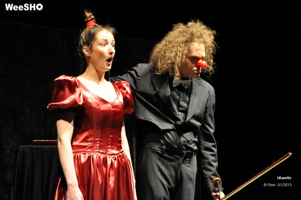 22/50 photos du spectacle Hilarissimo