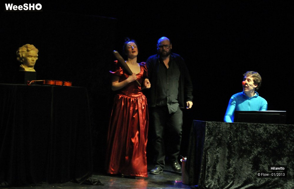 26/50 photos du spectacle Hilarissimo