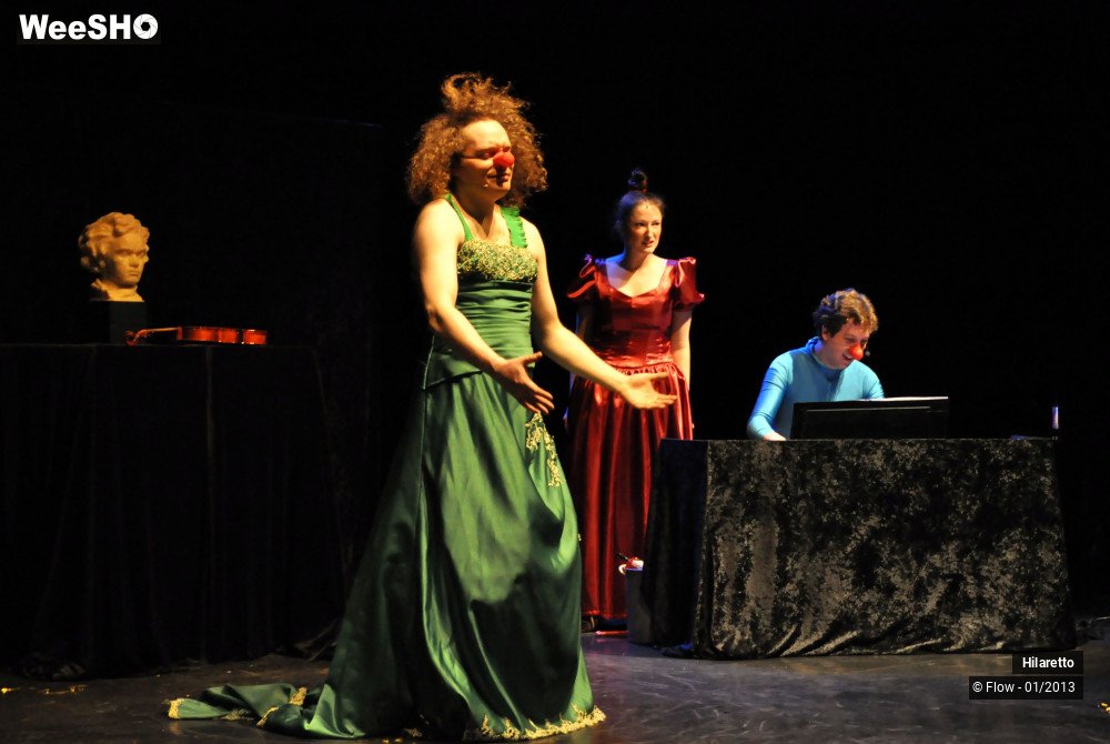 27/50 photos du spectacle Hilarissimo