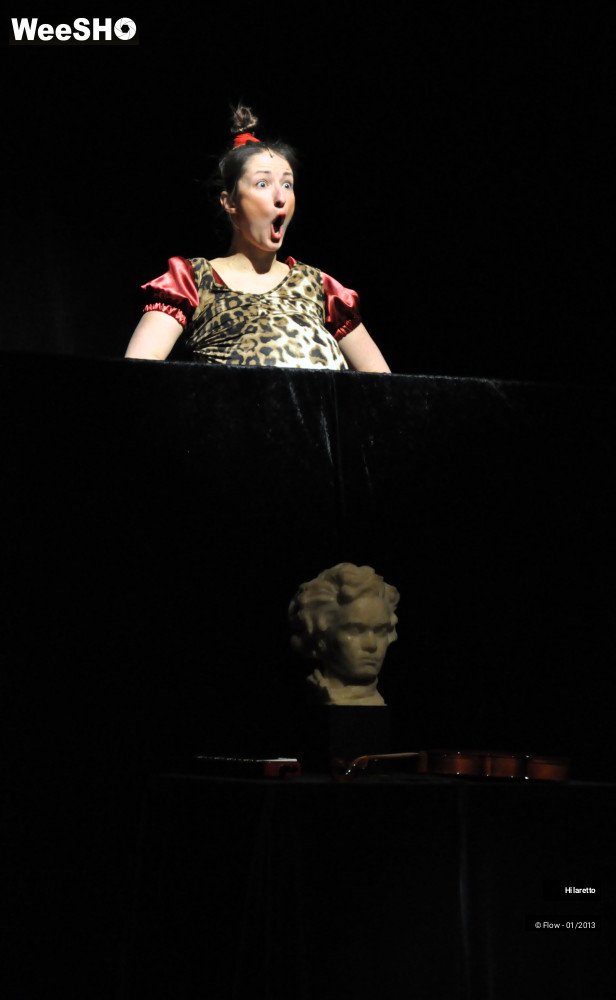 40/50 photos du spectacle Hilarissimo