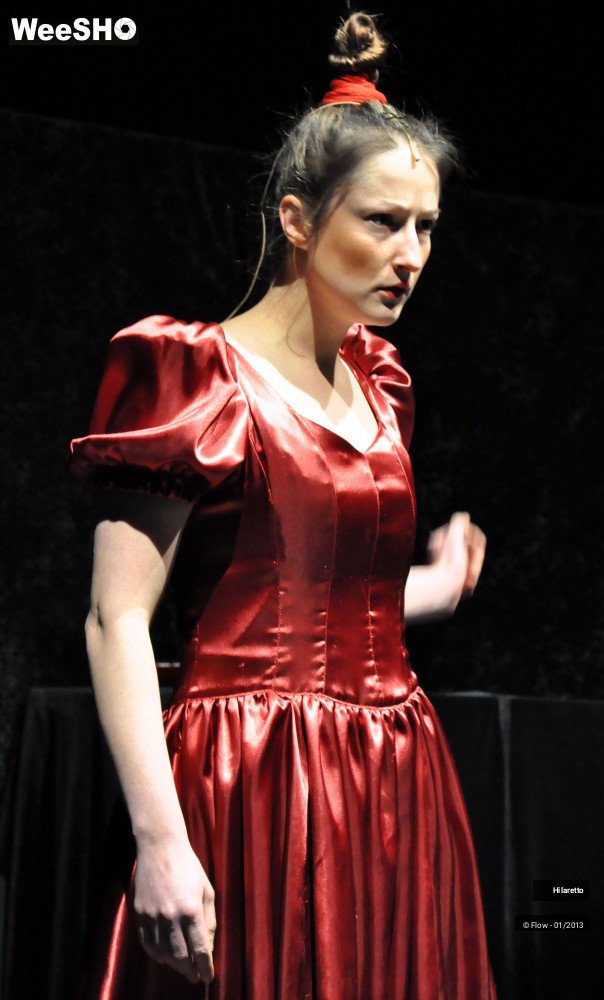 44/50 photos du spectacle Hilarissimo