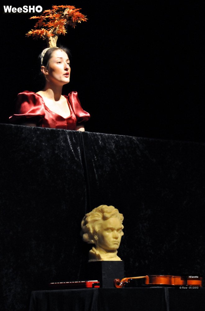 46/50 photos du spectacle Hilarissimo