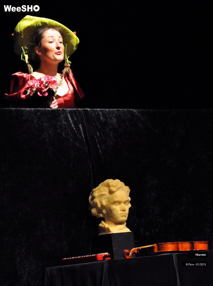 47/50 photos du spectacle Hilarissimo