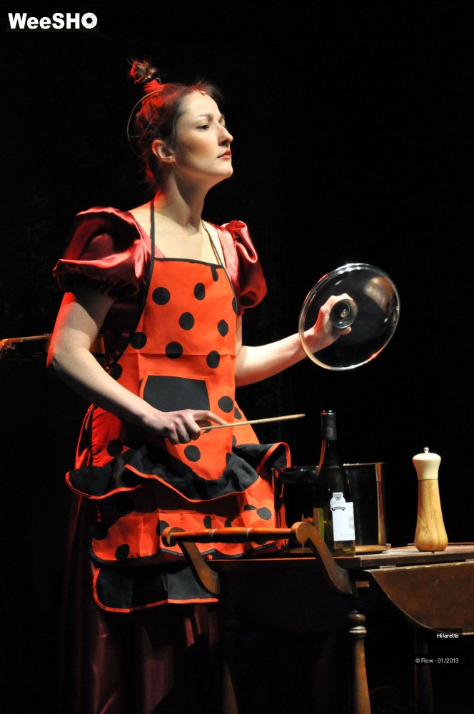 49/50 photos du spectacle Hilarissimo