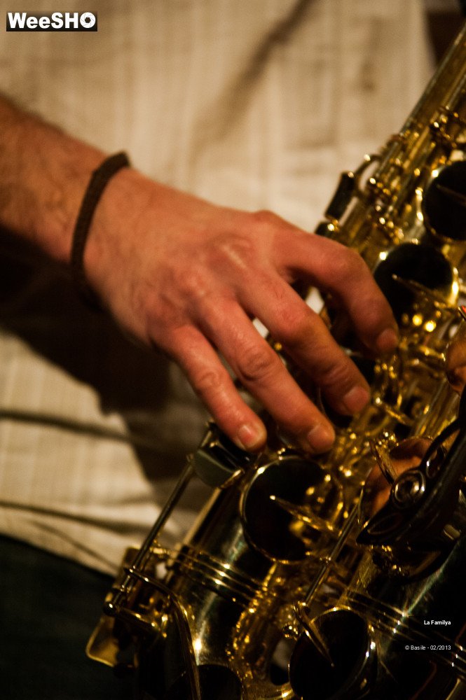 15/32 photos du spectacle La Familya