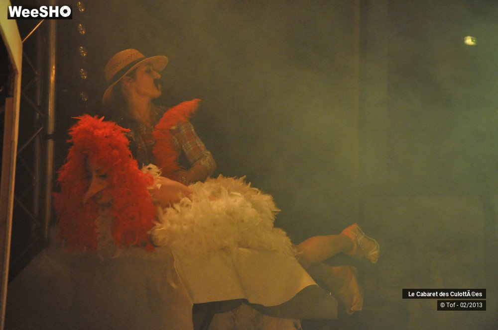 14/46 photos du spectacle Animales - Part one