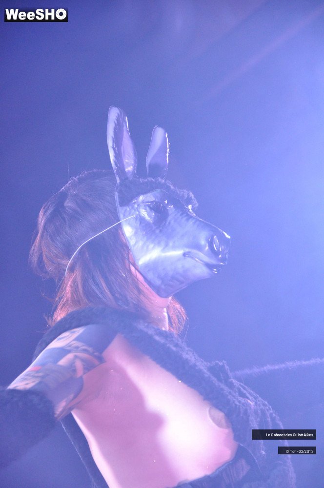 45/46 photos du spectacle Animales - Part one