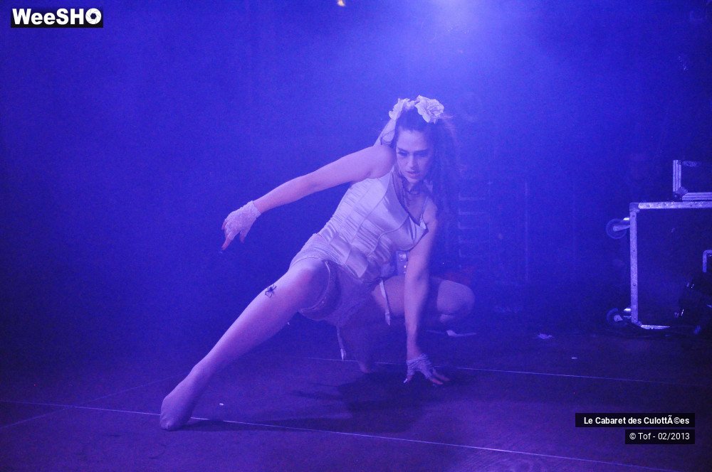6/45 photos du spectacle Animales - Part two