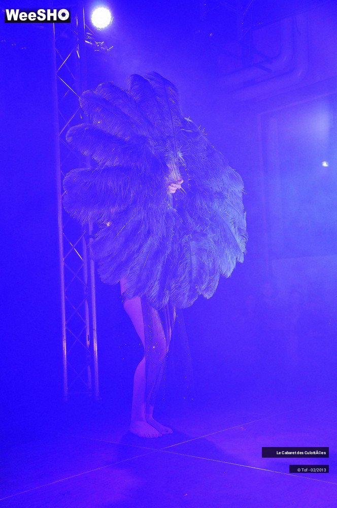 20/45 photos du spectacle Animales - Part two