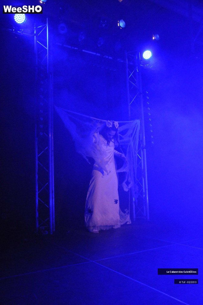 22/45 photos du spectacle Animales - Part two