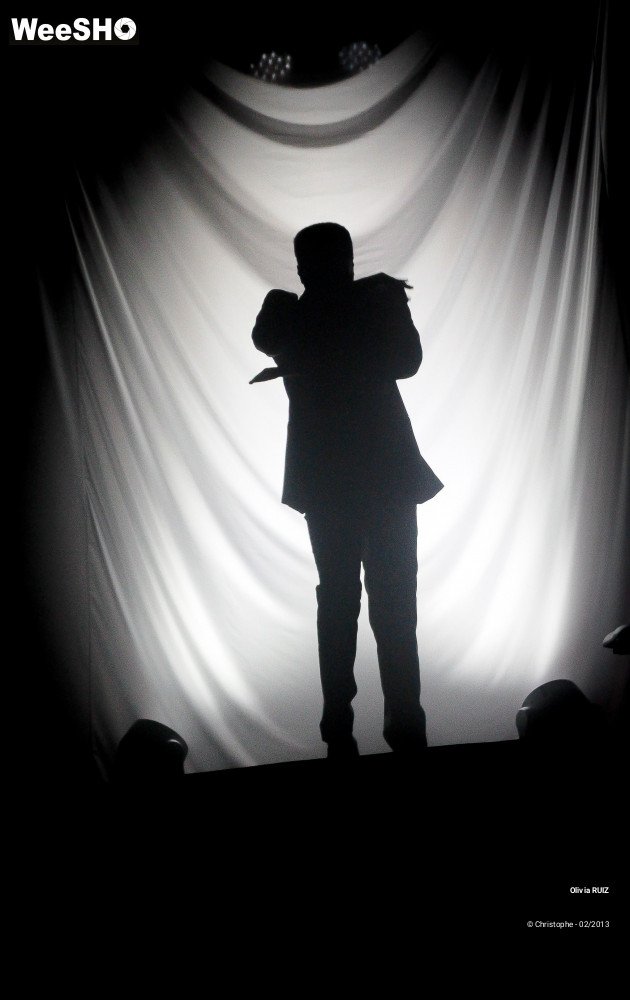 31/47 photos du spectacle Olivia Ruiz