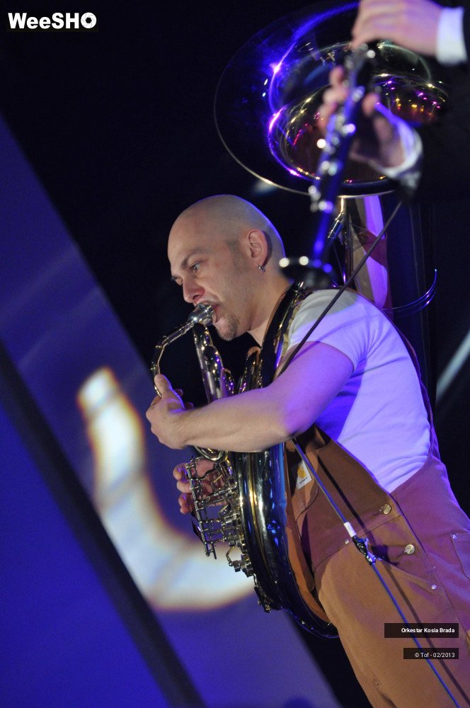 27/40 photos du spectacle Orkestar Kosia Brada