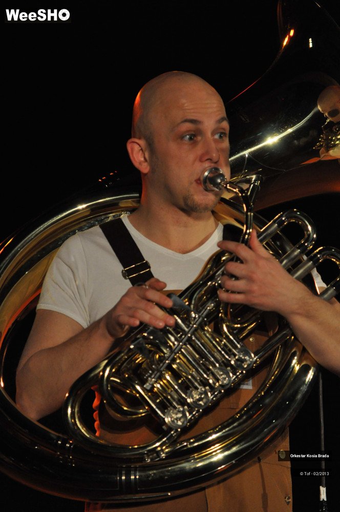 28/40 photos du spectacle Orkestar Kosia Brada