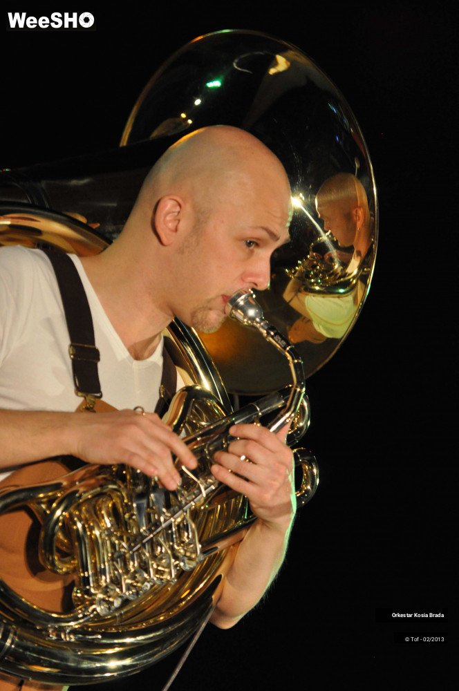 34/40 photos du spectacle Orkestar Kosia Brada