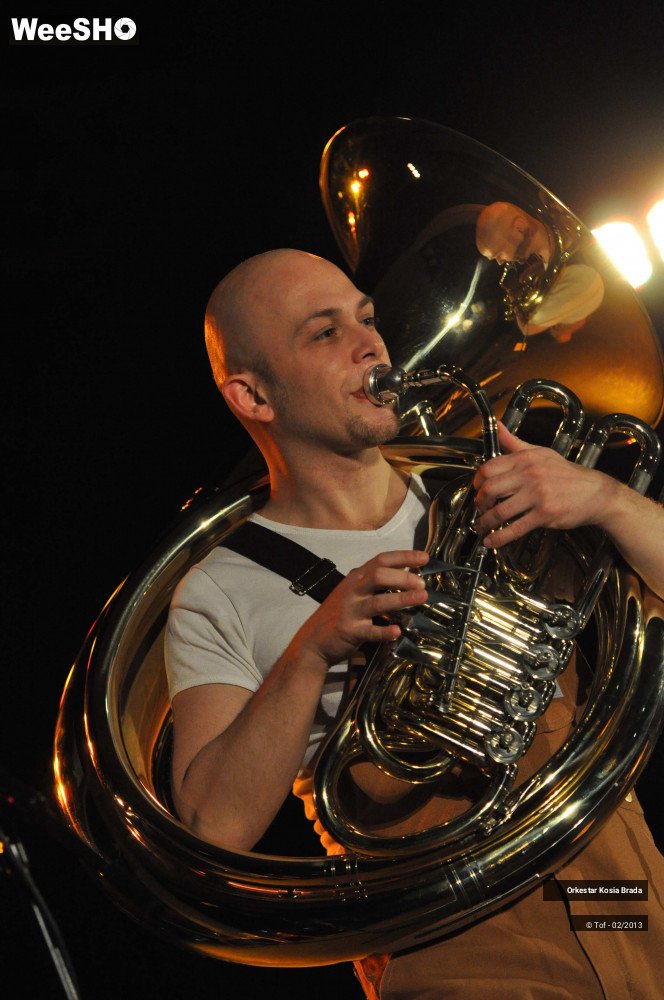 36/40 photos du spectacle Orkestar Kosia Brada