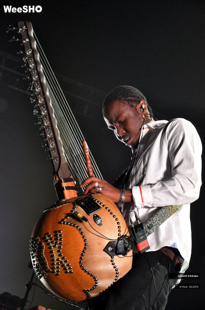 33/38 photos du spectacle C2C Guests