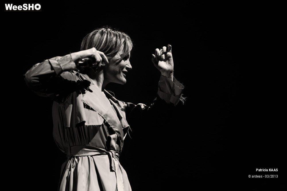 5/34 photos du spectacle Kaas chante Piaf