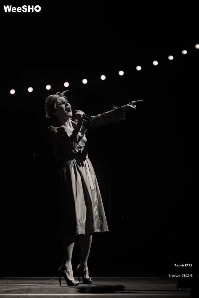 16/34 photos du spectacle Kaas chante Piaf