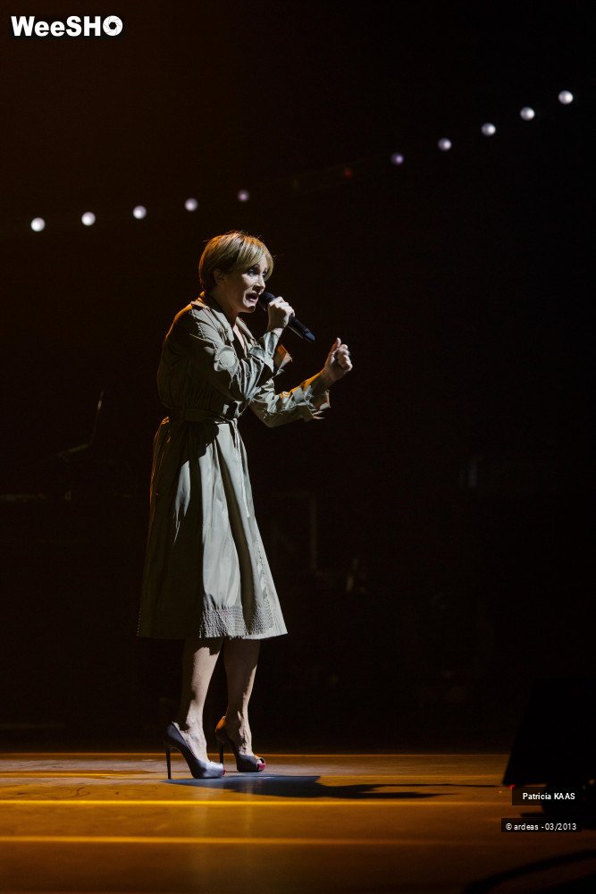 18/34 photos du spectacle Kaas chante Piaf