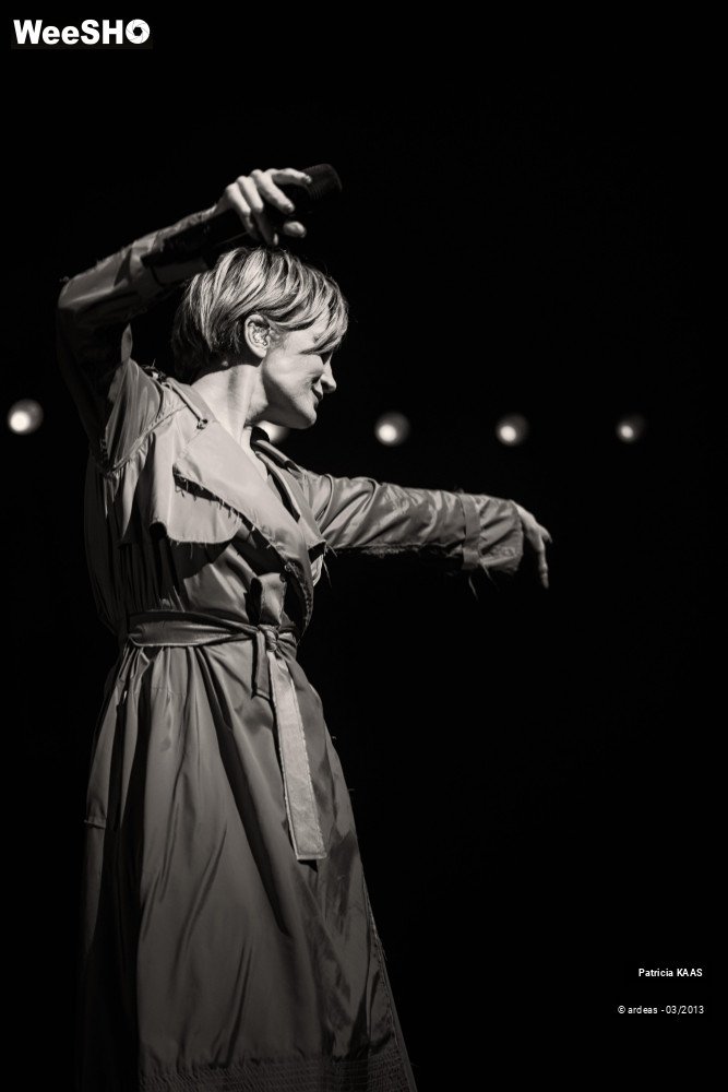 22/34 photos du spectacle Kaas chante Piaf