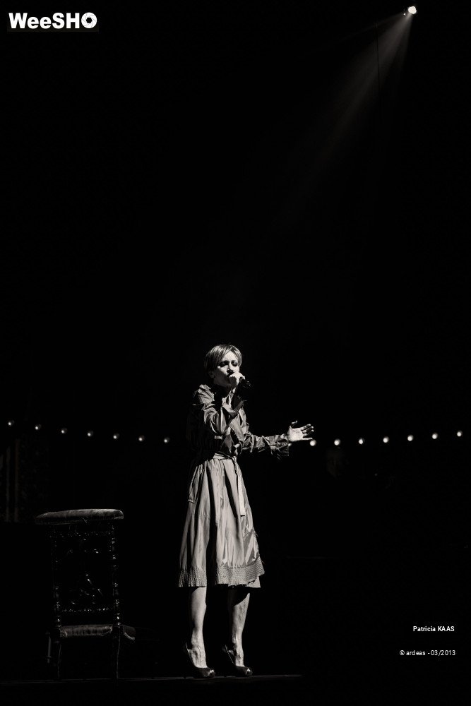 23/34 photos du spectacle Kaas chante Piaf