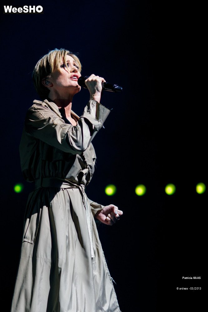 31/34 photos du spectacle Kaas chante Piaf