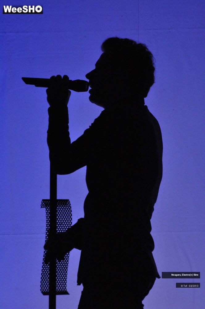 25/33 photos du spectacle Nougaro, Electro(n) libre