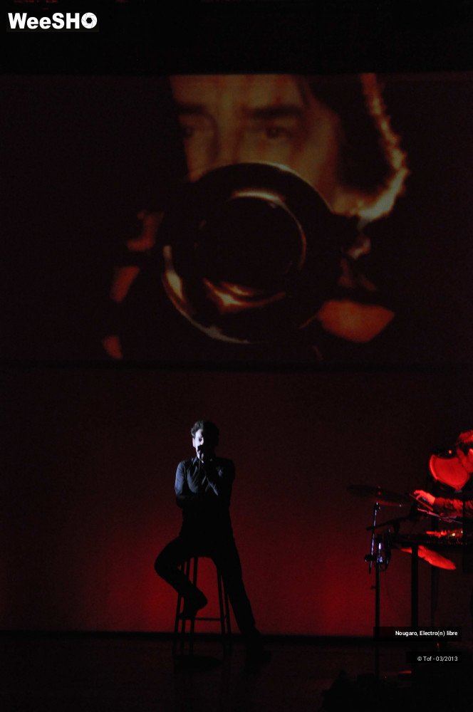 28/33 photos du spectacle Nougaro, Electro(n) libre